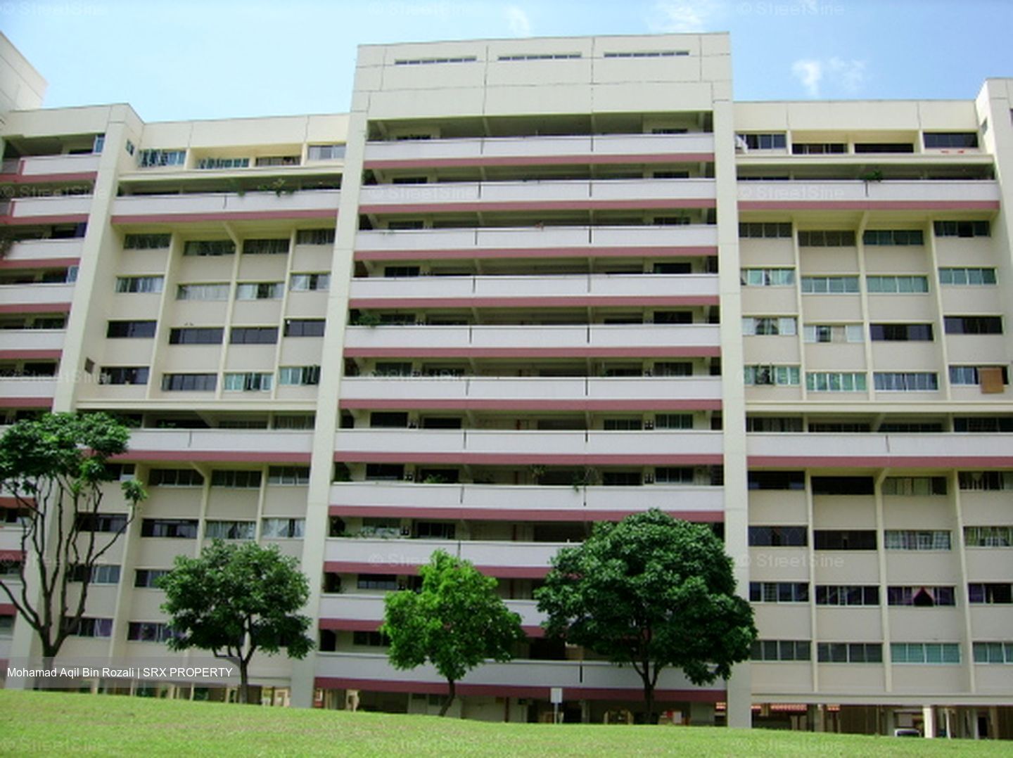 Blk 879 Tampines Spring (Tampines), HDB 3 Rooms #581750941